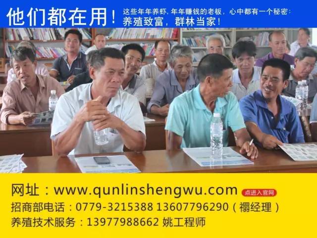 养虾100%成功,养虾六大步