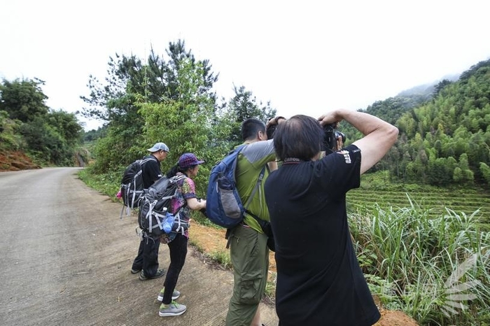 跟着大师去创作2016腾龙行福建站圆满收官