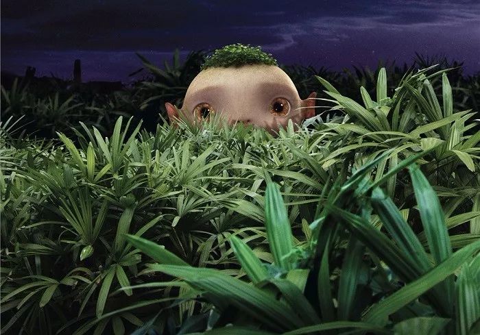 捉妖记为什么票房高,捉妖记电影最新票房