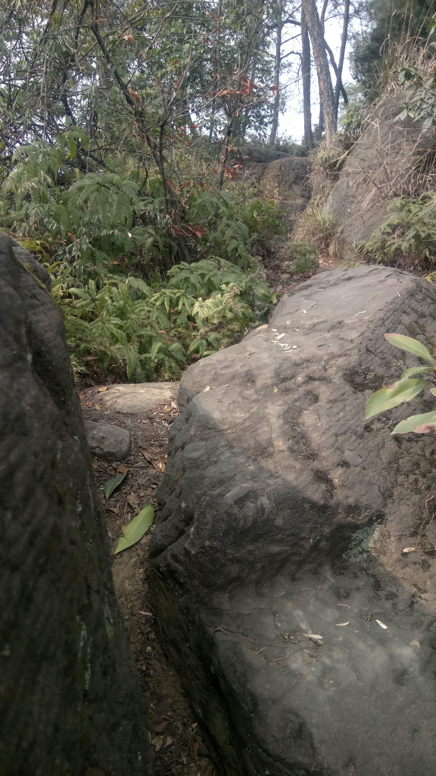 纯天然氧吧是锻炼的好地方,天然氧吧骑行好去处