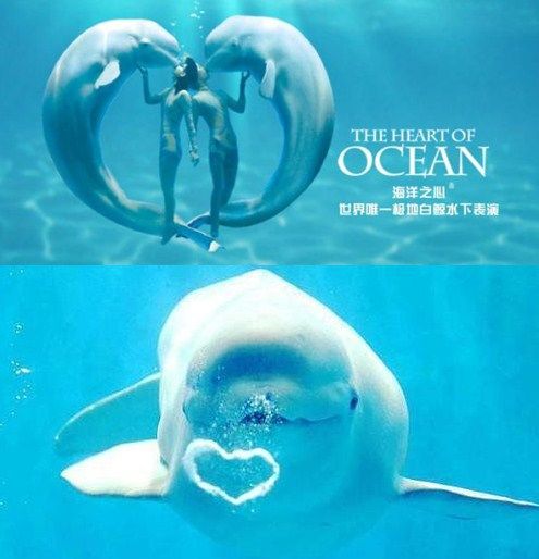 哈尔滨春节旅游攻略自由行 (哈尔滨春节期间适合去哪里玩)