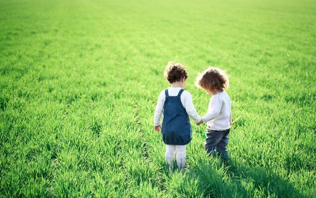 爱的建设视频,爱的建造周文强