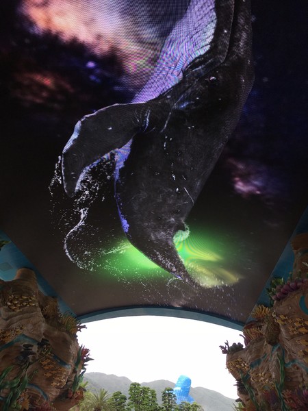 去珠海长隆海洋王国住哪里好,珠海长隆海洋王国烟花时间表