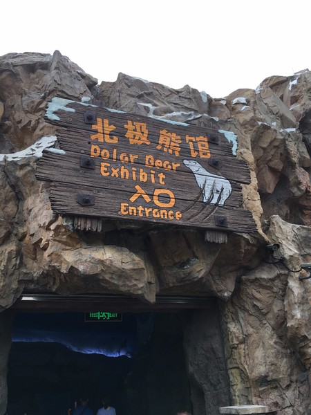 去珠海长隆海洋王国住哪里好,玩转珠海长隆海洋王国全攻略