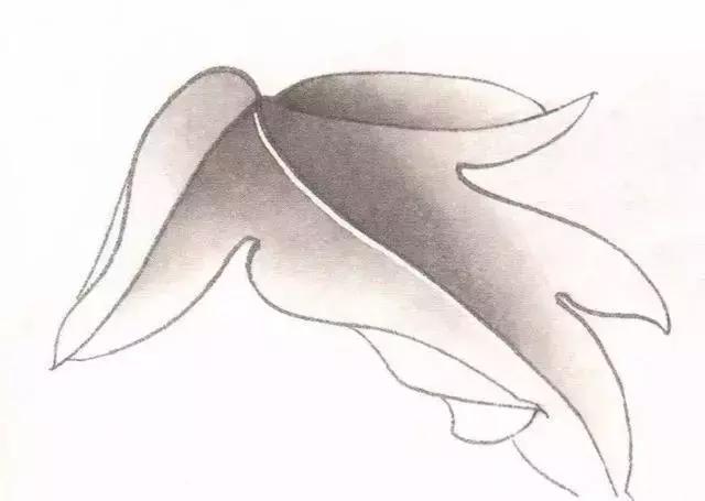 工笔画粉红花染色步骤,10分钟学会工笔画花朵染色