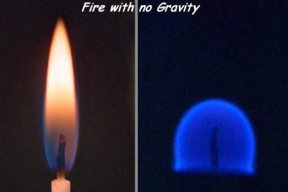 冷知识晚上饿着睡觉会变丑,冷知识饿着肚子睡觉会变丑