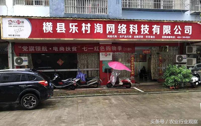 互联网农业创业技巧大全,农业互联网创业盈利的三种模式