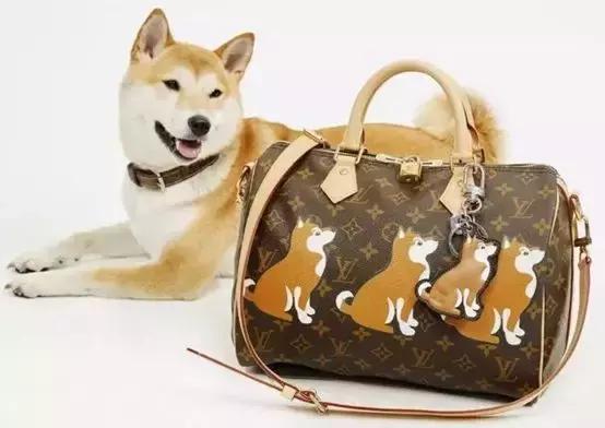 大牌狗年限定是真的吗,大牌新年限量的狗