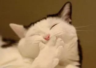 别藏了，你的名字已经暴露了你来自哪里！