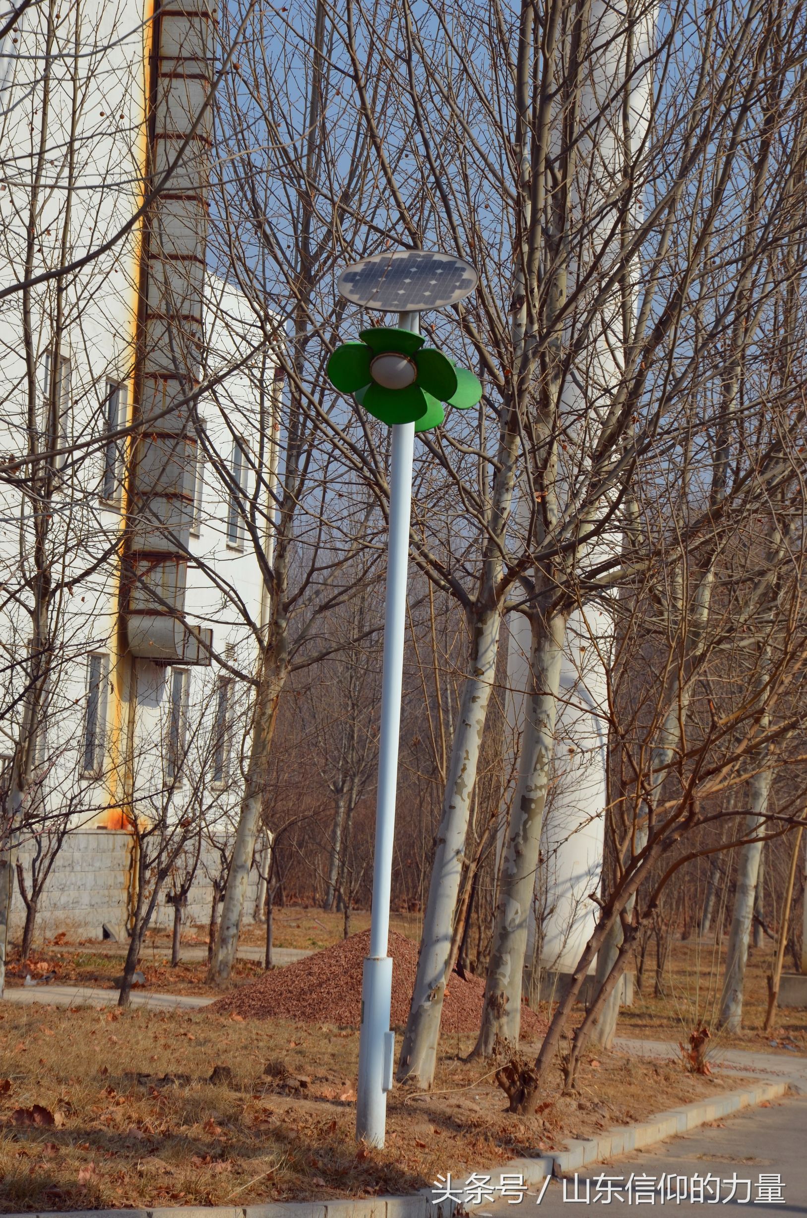 假期最后一天探访皇明集团总部所在的中国太阳谷