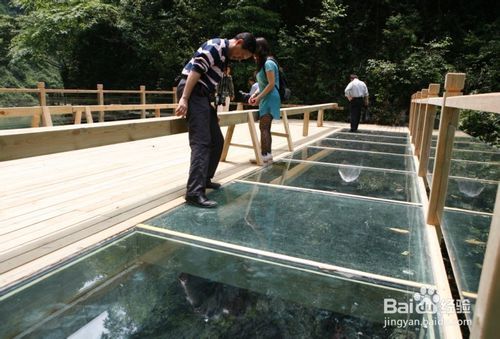 2022年春节张家界旅游须知,张家界2018旅游攻略图片