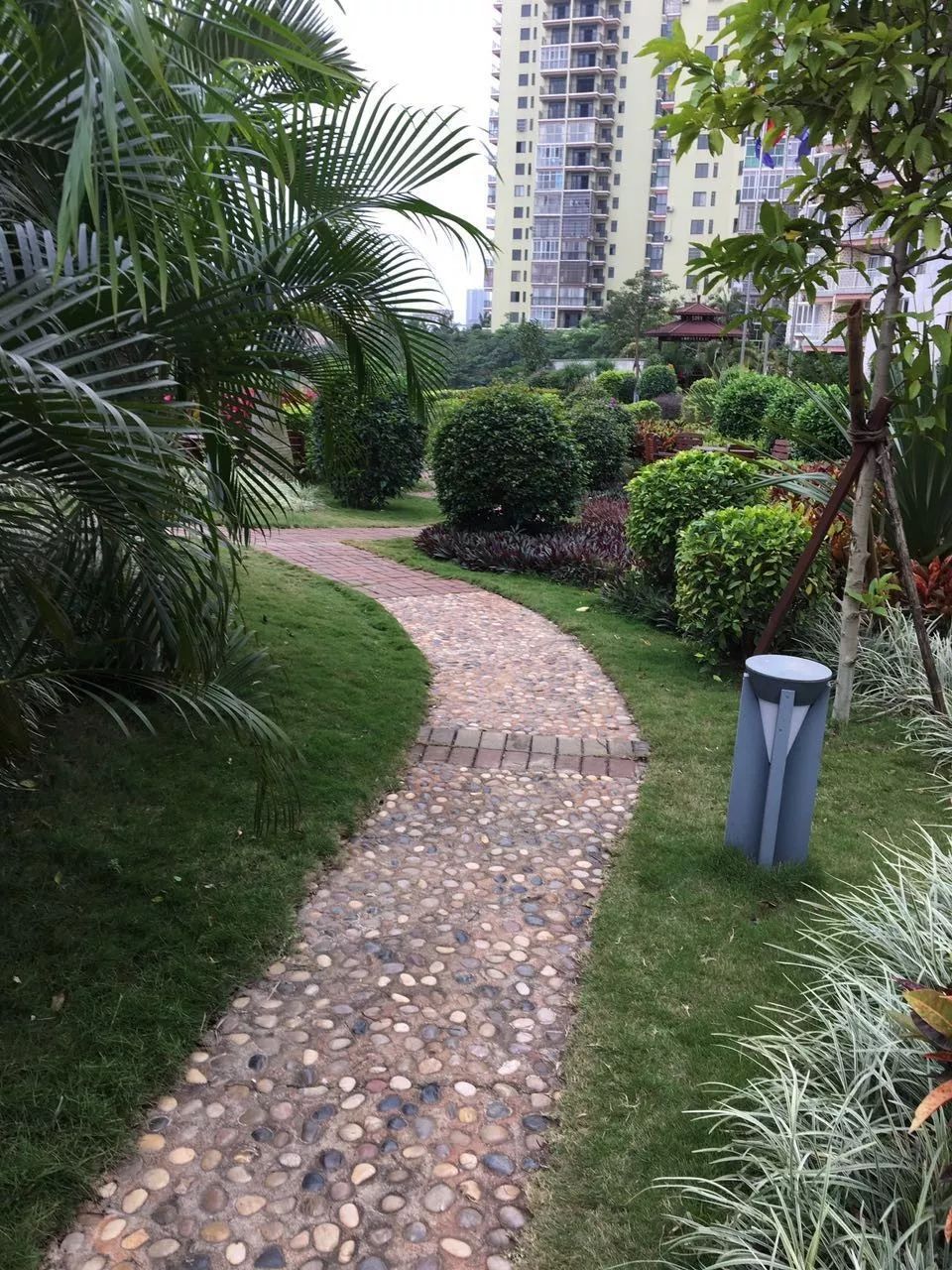 长寿乡，城中央，养老还看丽海阳光