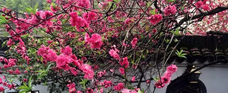 从化温泉最好的温泉酒店,广州从化温泉酒店推荐