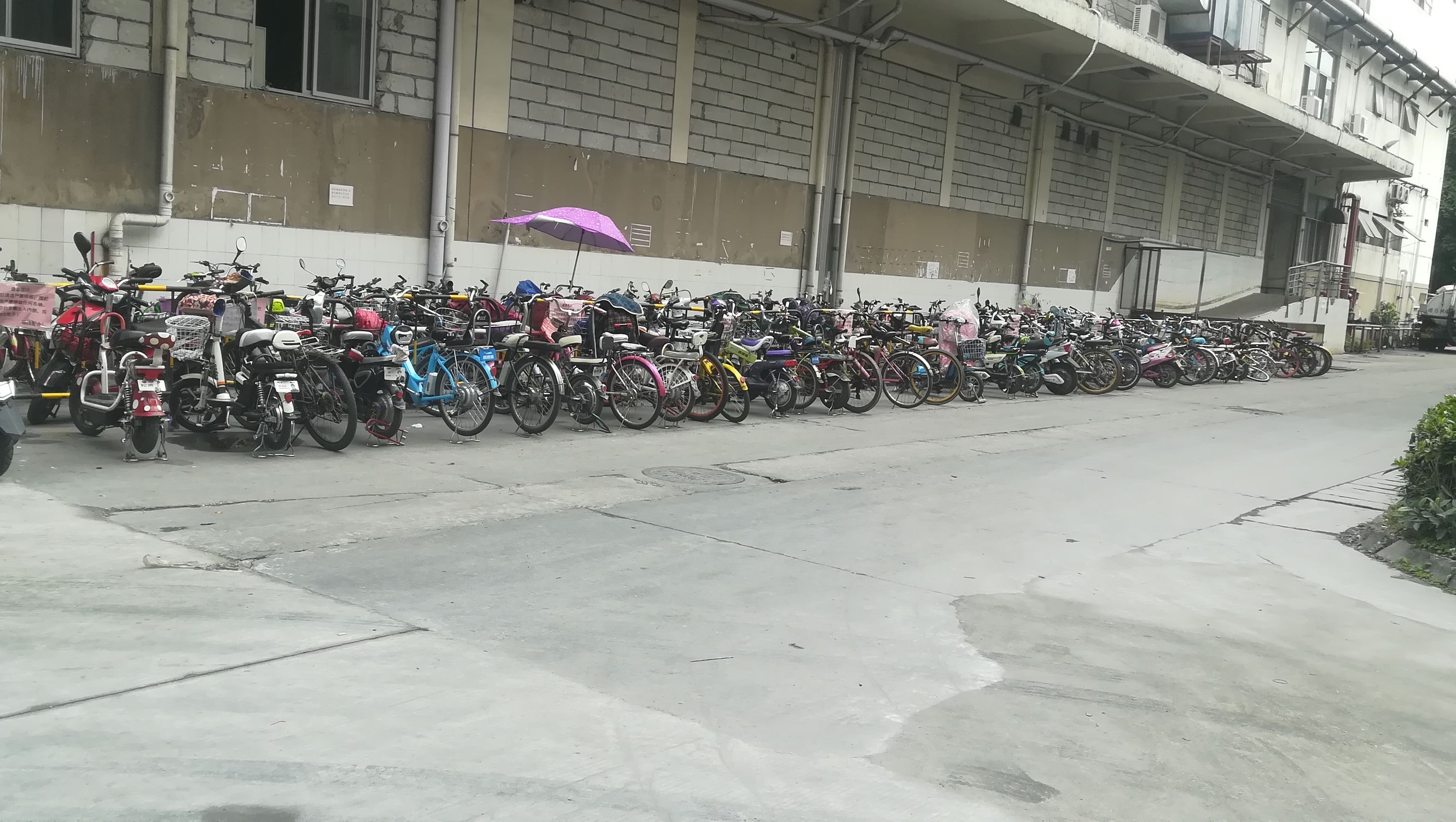 带大家进入工厂,带大家走进车间