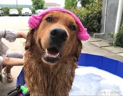 爱妖经大数据评测,爱妖经洗衣液不粘毛