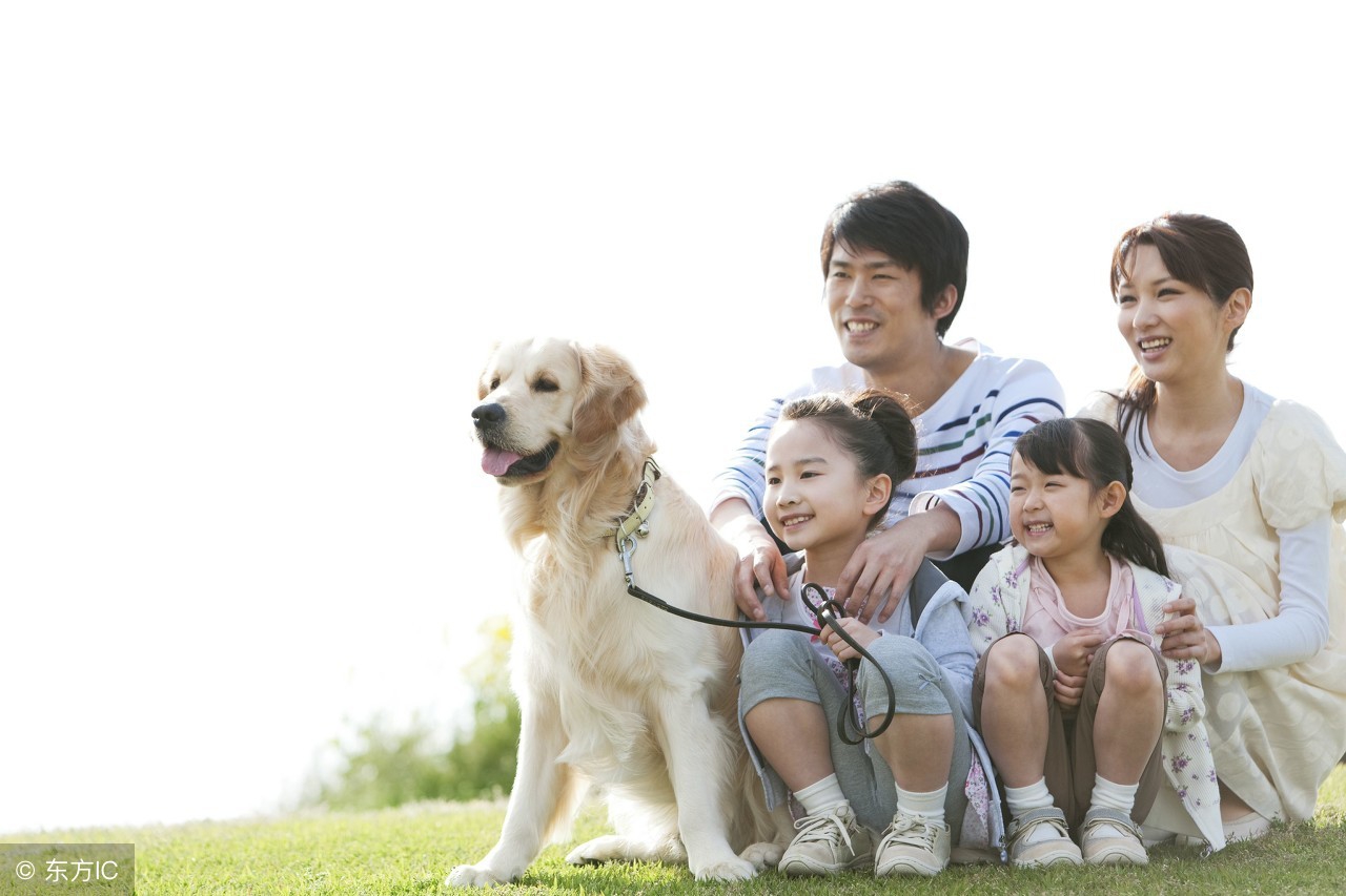 怎么让宠物听话,该怎么让宠物狗变成网红狗