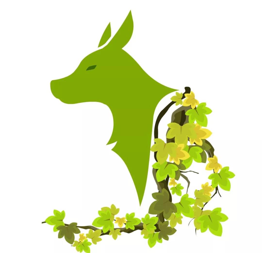 十二生肖狗的人生运势,十二生肖狗近期运势