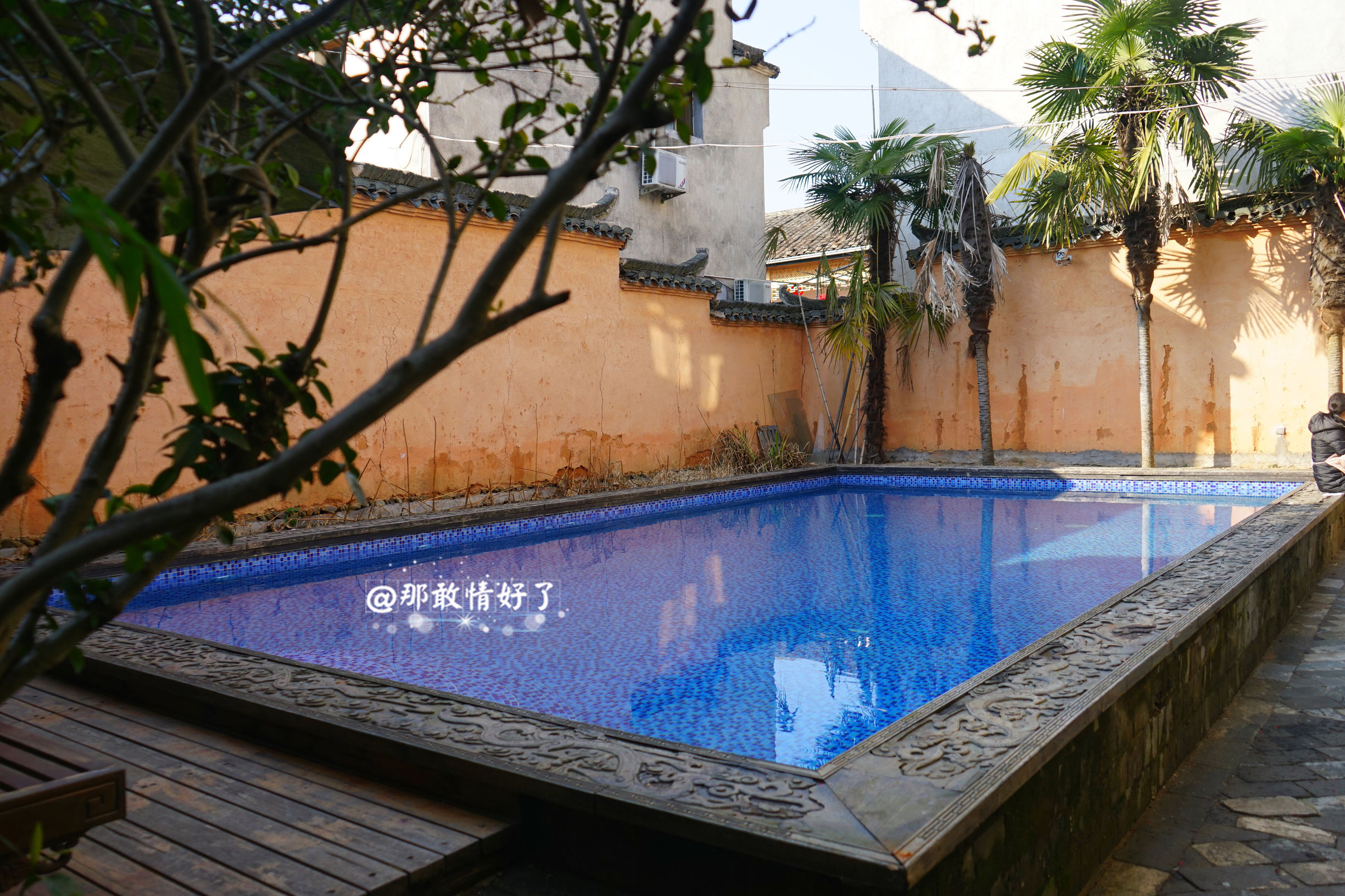 一家三口去南极旅行 (中国一家三口去南极旅游)