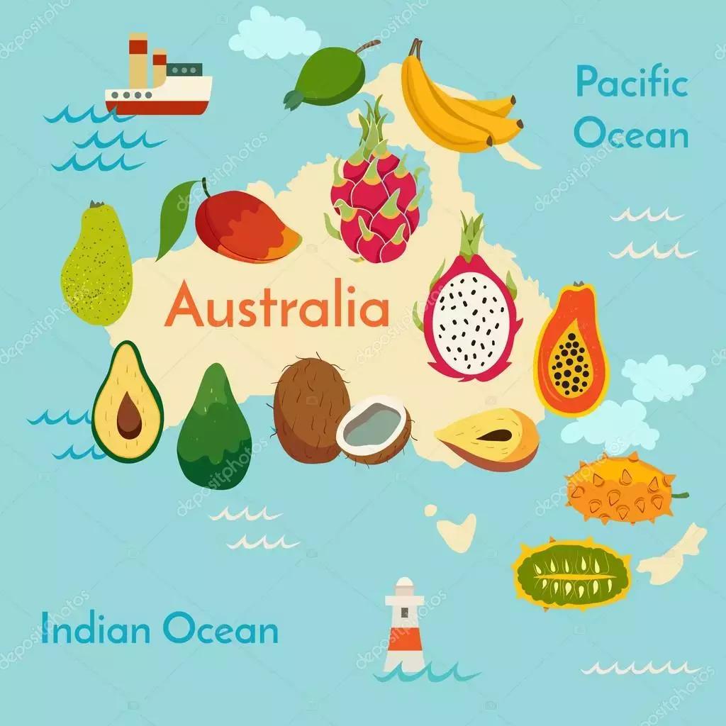 可以有助减肥的水果,抗衰老防痴呆水果