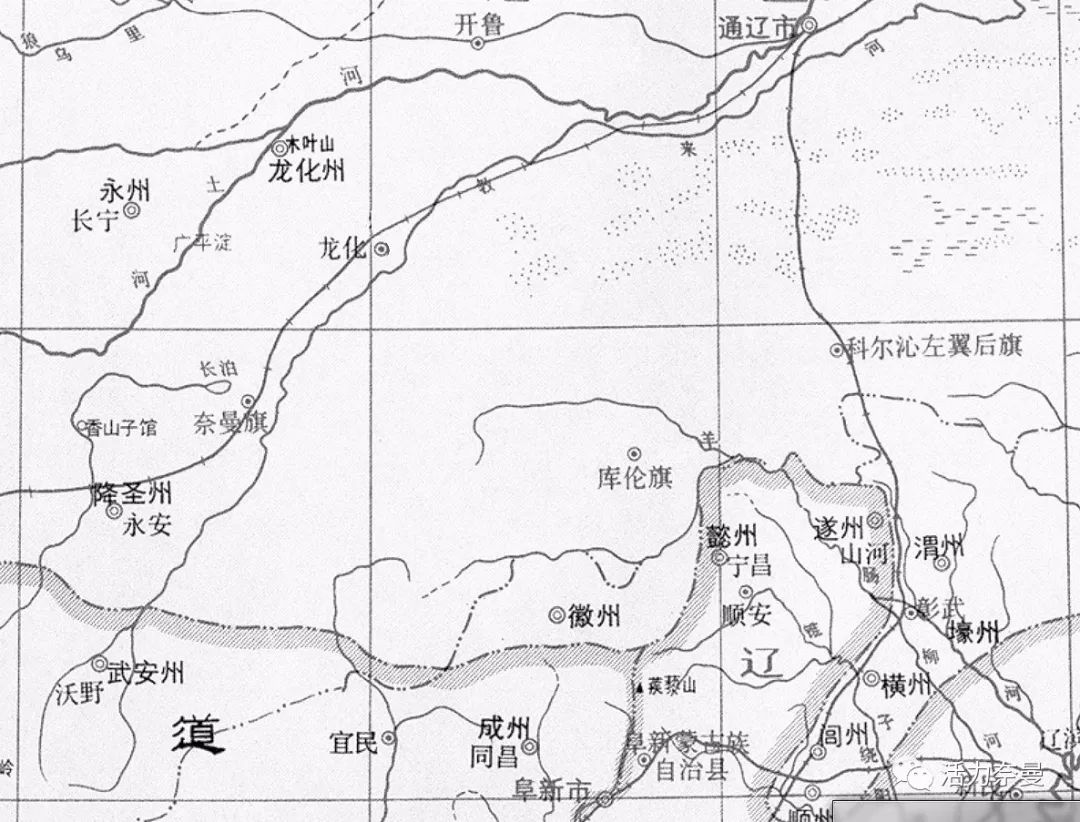 奈曼从哪儿来的,奈曼人真实身份