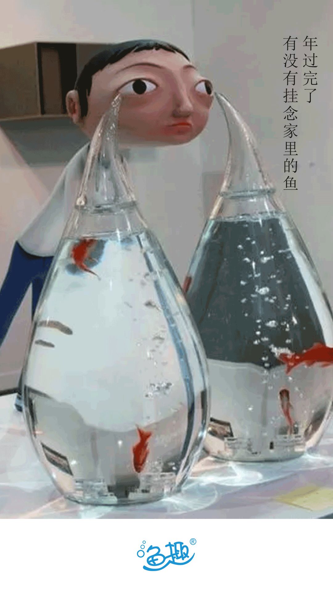 龙鱼鉴赏视频,龙鱼鉴赏