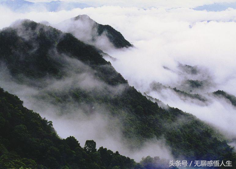 中国广东省梅州市,梅州市梅县区有哪些镇