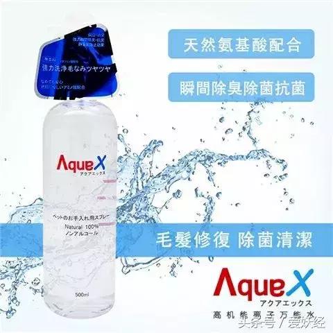 宠物洗护攻略,爱妖经养宠怎么玩