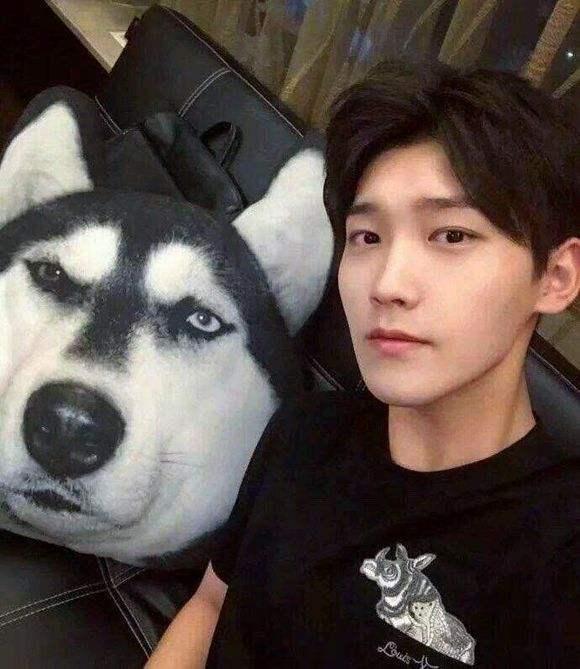 最帅的十大小鲜肉网红,中国最帅的小鲜肉排名图片