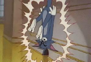 那些被老鼠耍得团团转的猫咪,两只傻猫被老鼠玩的团团转