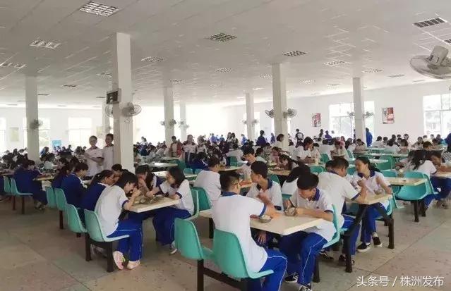 株洲公办小学学费一般多少钱,小学学费收费标准2021年株洲