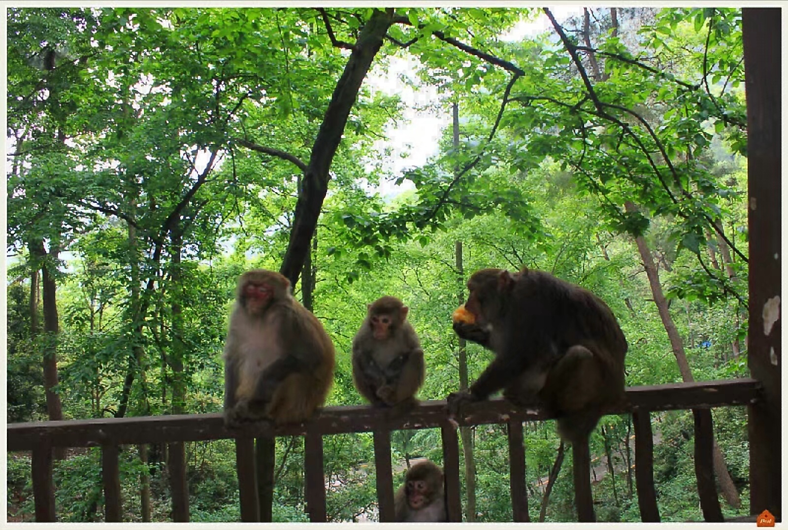 黔灵山地形图,黔灵山脉图片
