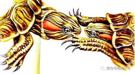 这龟白送你都不要,这篇阅读量要仆街