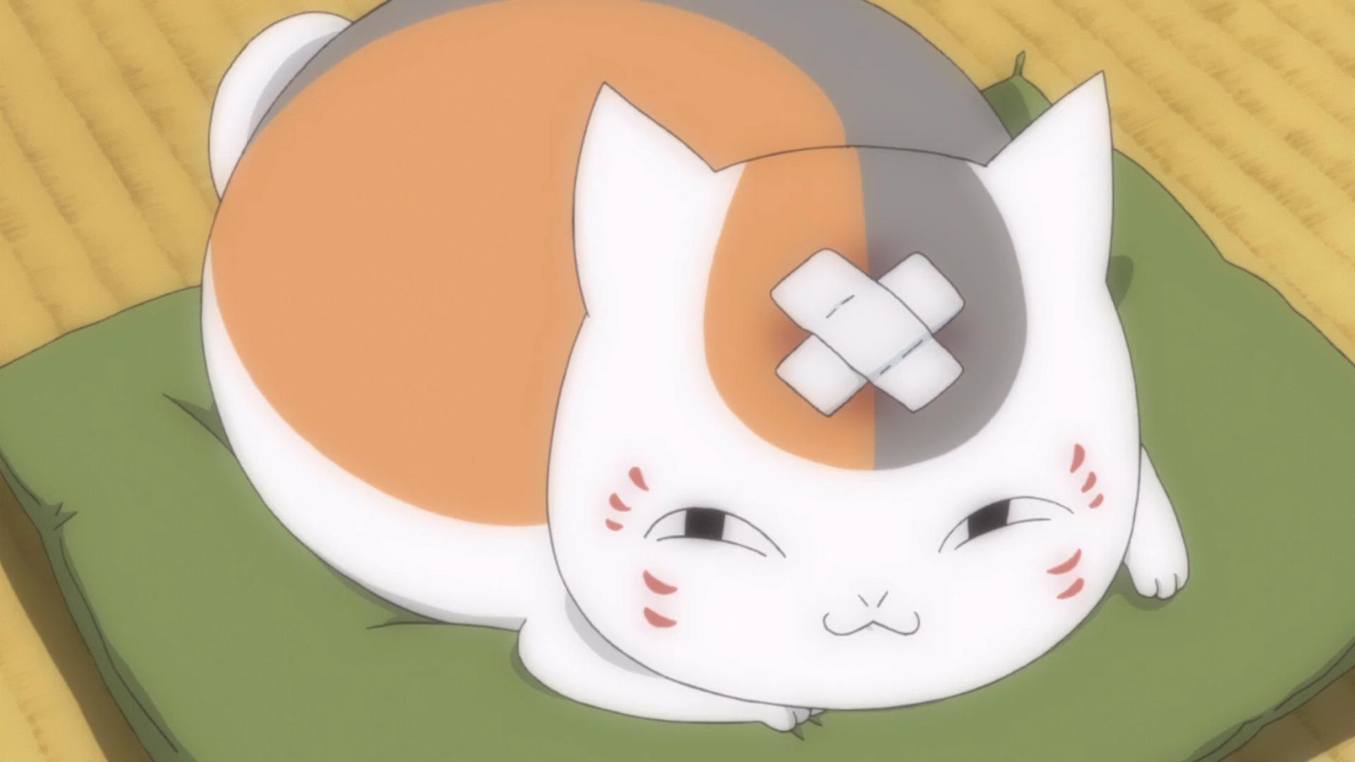 夏目友人帐与猫咪老师日语翻译,夏目友人帐猫咪老师被套路