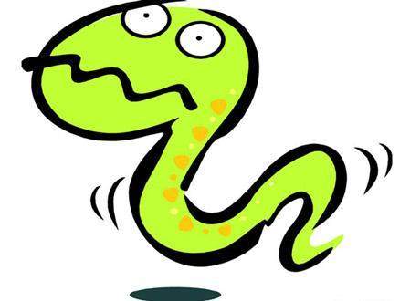 传统文化十二生肖视频,中华传统文化十二生肖图片