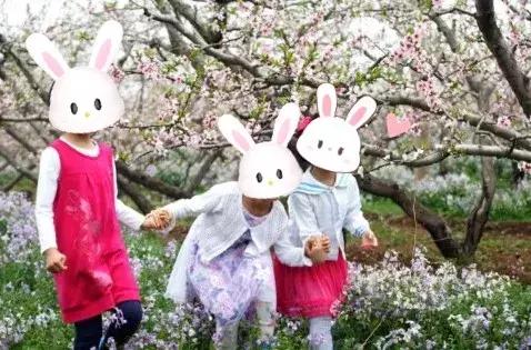 三月底去北京哪个公园比较好,几月去北京旅游最好攻略