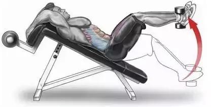 10个高效腹肌动作,10个高效腹肌锻炼方法