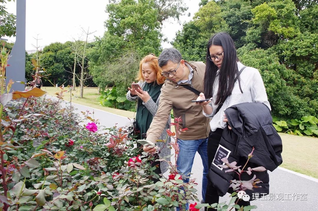 深圳香蜜公园航拍视频,香蜜湖香蜜公园