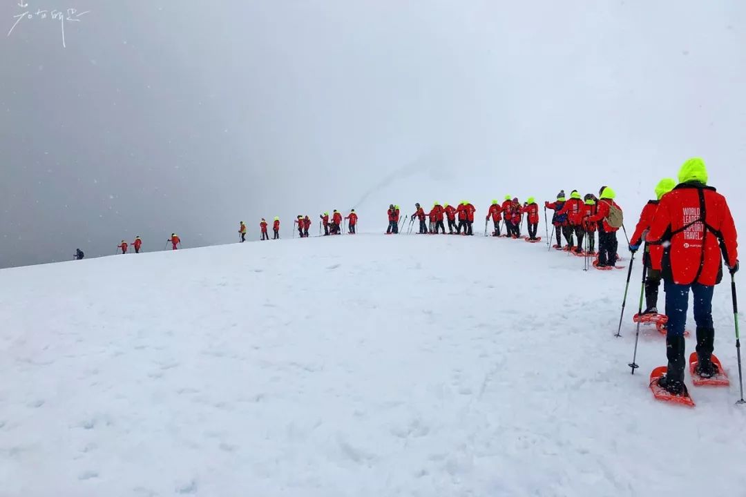 跟着南极科考队旅行,南极之恋细思极恐的地方