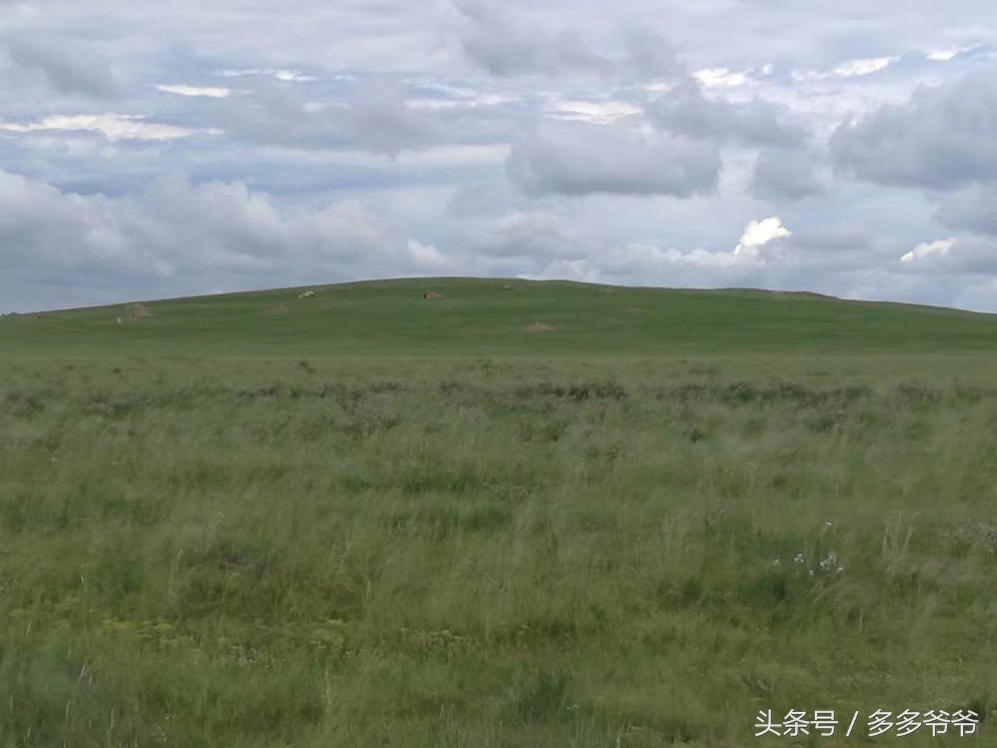 锡林郭勒盟边境自驾穿越,锡林郭勒大草原中蒙边境游