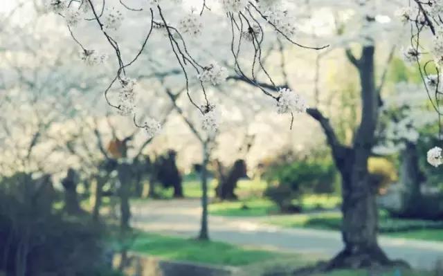 古代有趣的诗,脑洞大开的诗