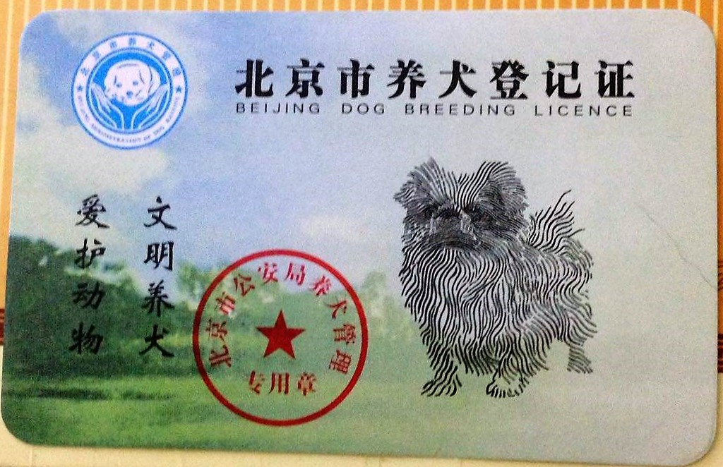 铲屎官再见——车辆交强险详解（五）