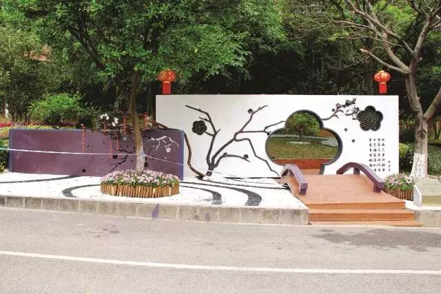 还没看的景点,大夫山最美景色