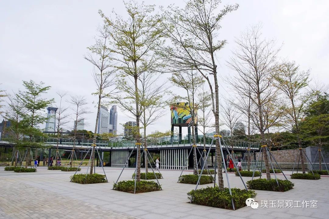 深圳香蜜公园航拍视频,香蜜湖香蜜公园