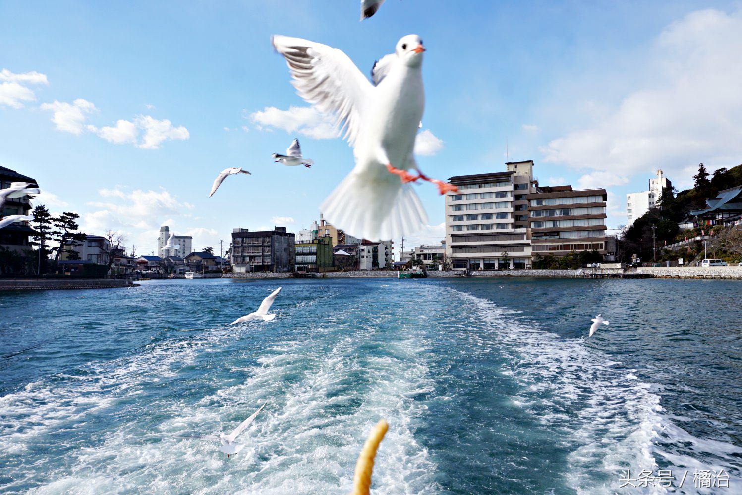 去日本富士山最便捷的交通,富士山箱根周游券攻略