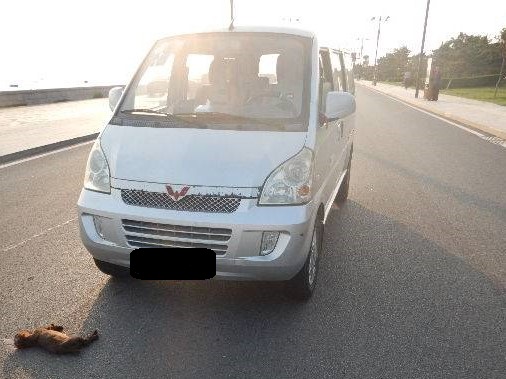 铲屎官再见——车辆交强险详解（五）