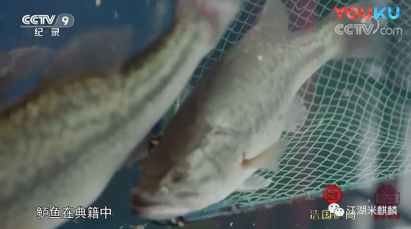 舌尖3中的那些你不知道的事儿,舌尖3最新消息