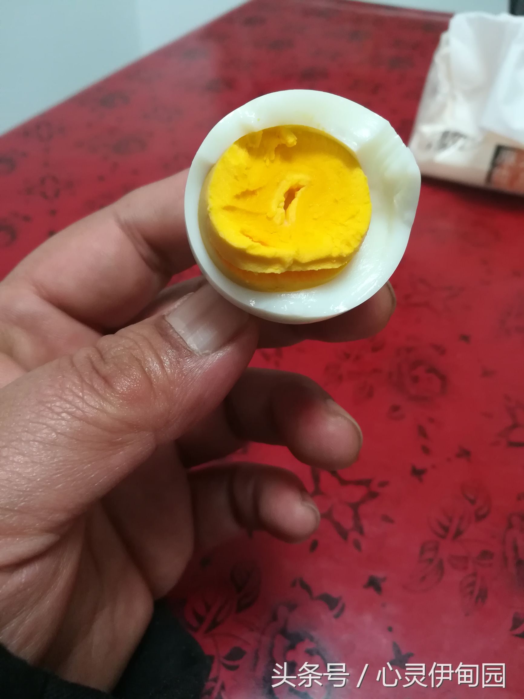 中华麋鹿园,中华麋鹿基地