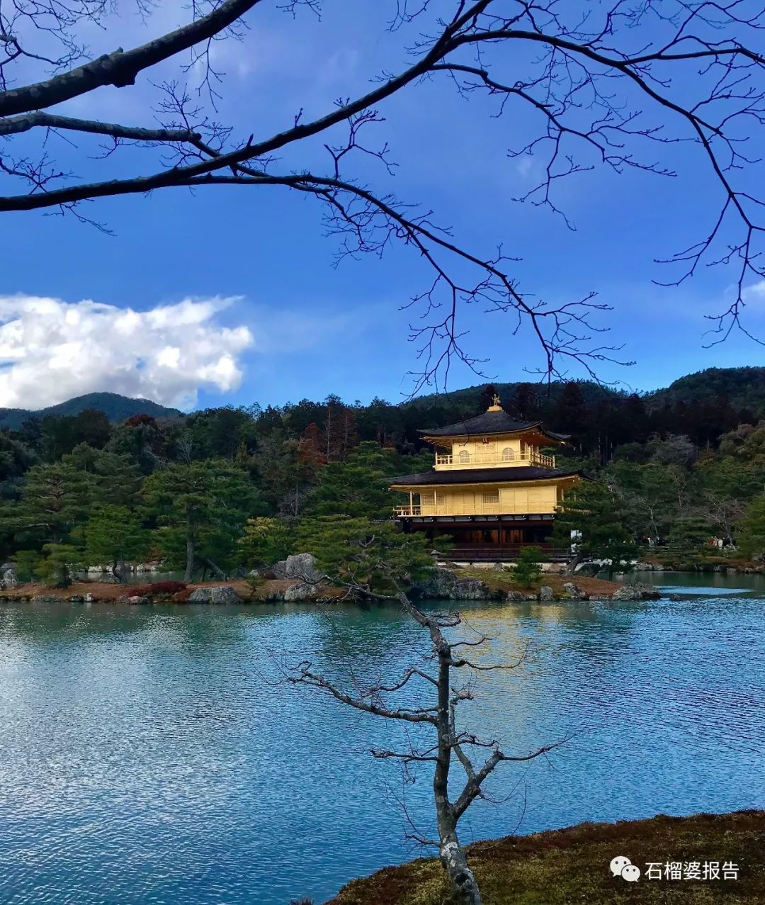 四世同堂一日游,四代同堂去旅游