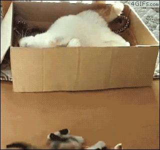 这件金融大事被低估！中信银行用行动“证明”不看好北京房价