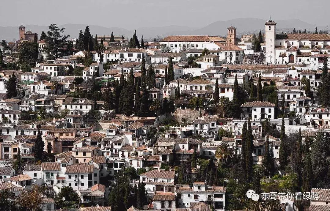 fifaonline3金卡套各位置推荐,fifaol32020队套